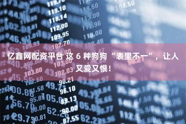 亿鑫网配资平台 这 6 种狗狗 “表里不一”,让人又爱又恨!